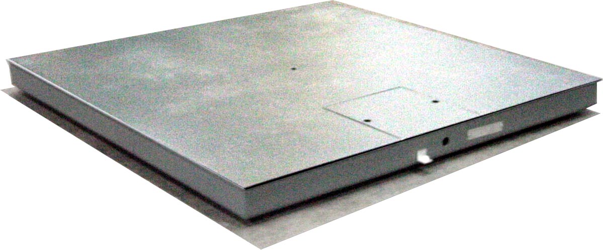 Sureweigh Floor Scale